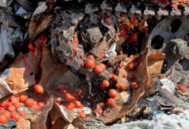 Во Владимирской области уничтожили санкционные помидоры и яблоки