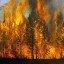 На территории Владимирской области устанавливается пожароопасный сезон