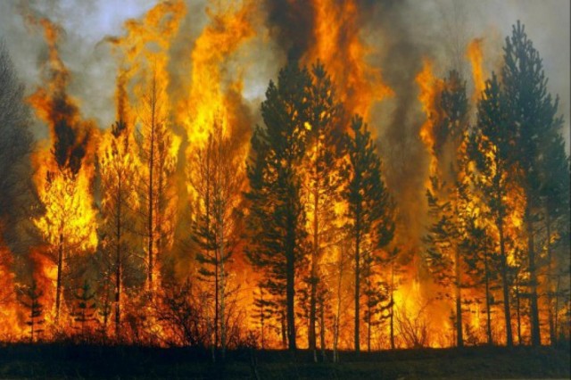 На территории Владимирской области устанавливается пожароопасный сезон