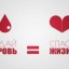 Владимирские доноры сдали 12 тысяч литров крови