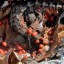 Во Владимирской области уничтожили санкционные помидоры и яблоки