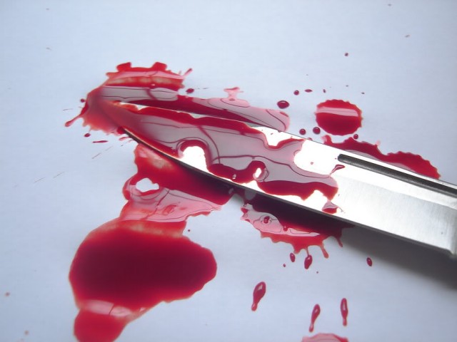 Житель Меленок зарезал бывшую жену и покончил с собой