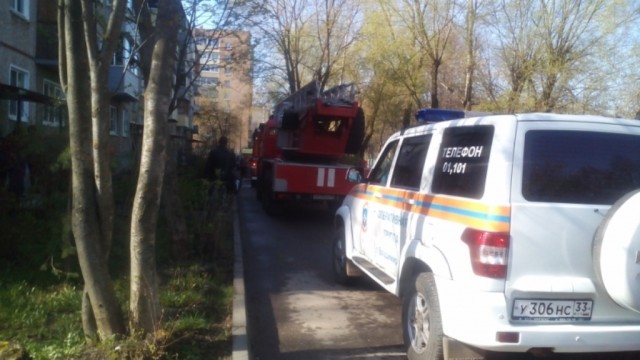 Во Владимире огнеборцы спасли на пожаре трех человек